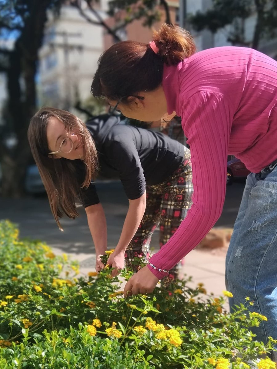 Participantes do Partiu Rua colhendo flores em um canteiro na rua